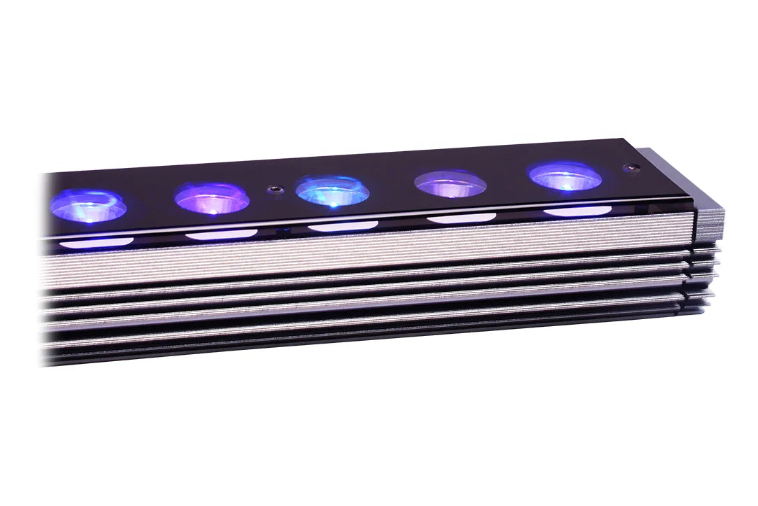 Orphek OR4 Blue Plus LED Bar